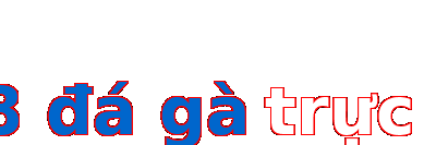 sv88 đá gà trực tiếp