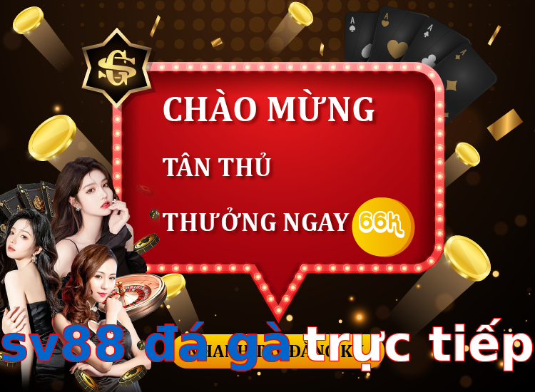 sv88 đá gà trực tiếp
